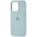 Чехол Silicone Case Full with MagSafe OEM для iPhone 14 Plus Succulent 4107 фото 4